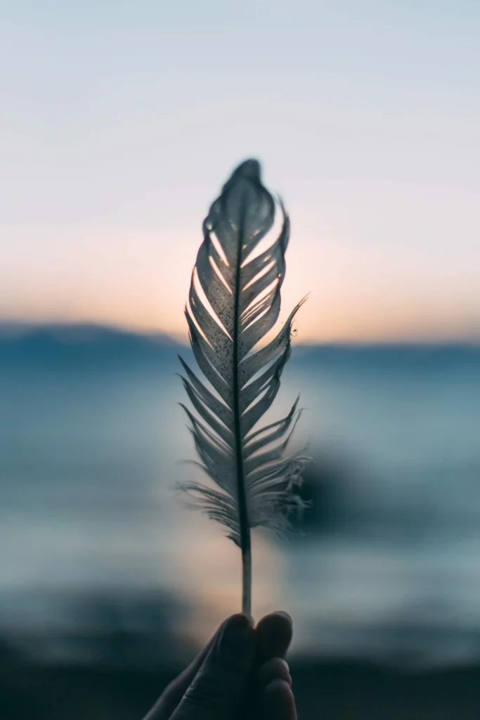 Plume tenue dans la main au coucher du soleil, symbole d’intuition, de douceur et de médiumnité.
